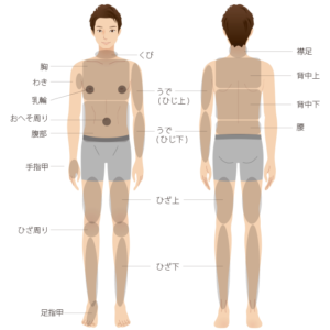 メンズ脱毛身体部位